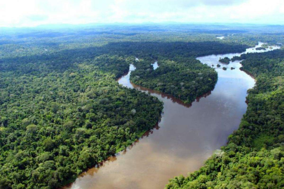 Floresta no Pará, estado com a maioria das lavras autorizadas