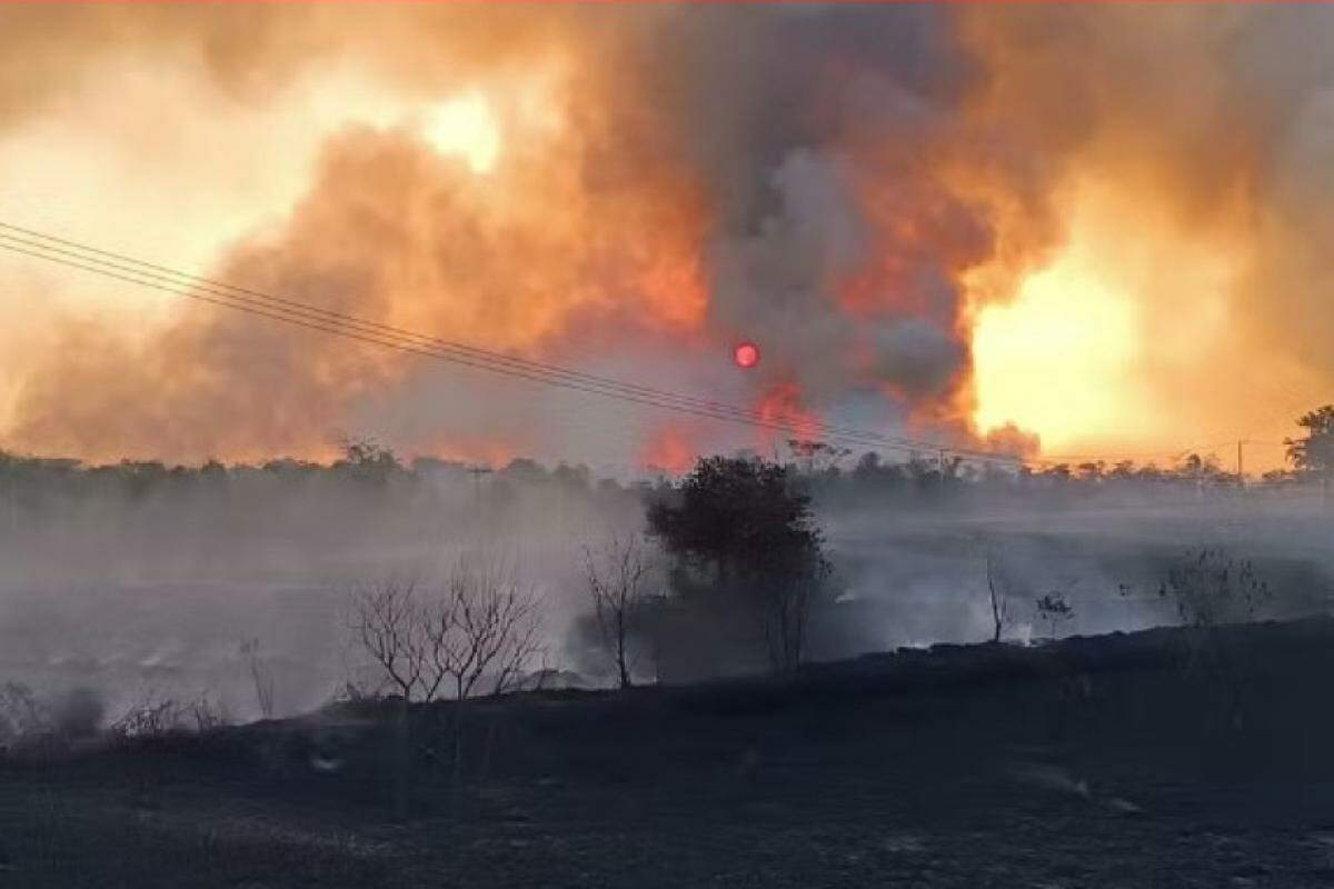 O canavial localizado nas proximidades do rio Tietê pegou fogo