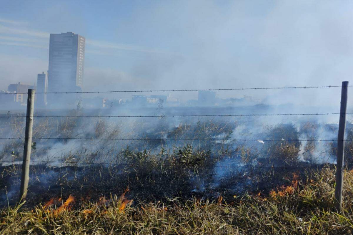 Terreno em chamas localizado entre as avenidas Rio Negro e Rio Amazonas na tarde desta sexta-feira, 26