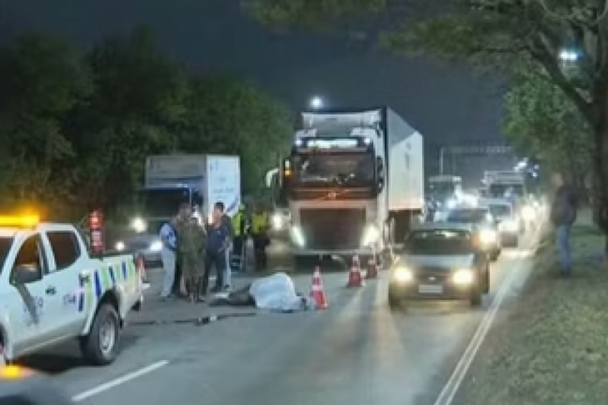 Égua Estupenda foi morta atropelada por uma carreta na av. Brasil