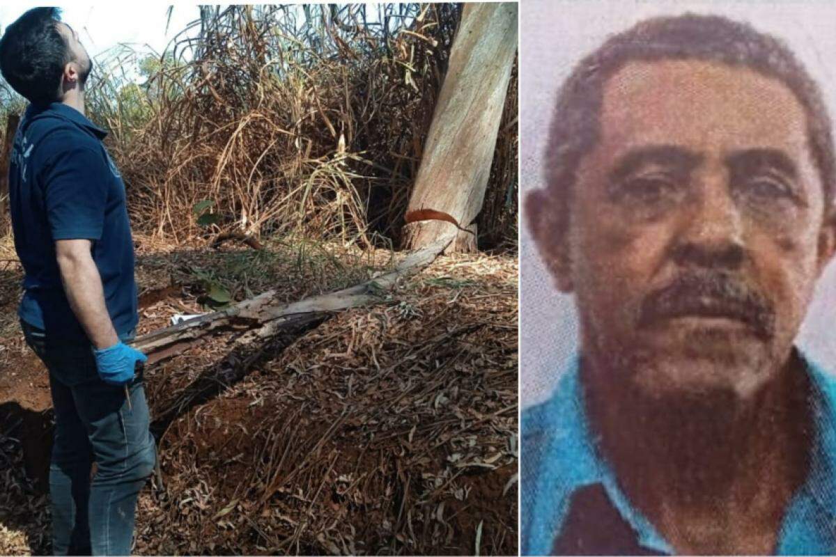 Policial observa árvore cortada que atingiu Dimas Vicente de Paula, de 69 anos