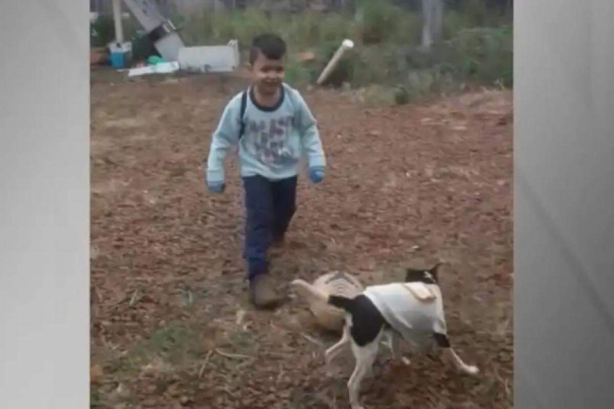 Menino venezuelano brinca com cachorrinha antes do acidente