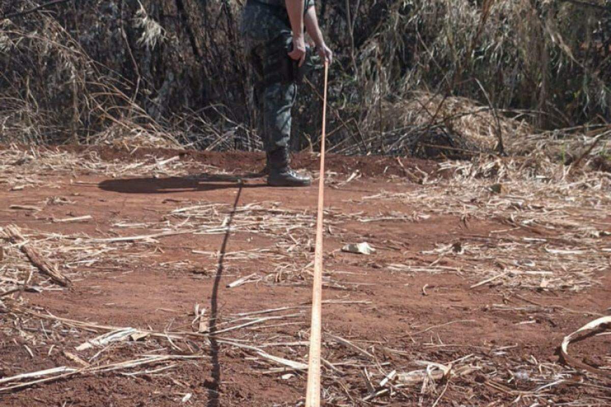 Aceiro da propriedade estava fora do padrões exigidos 