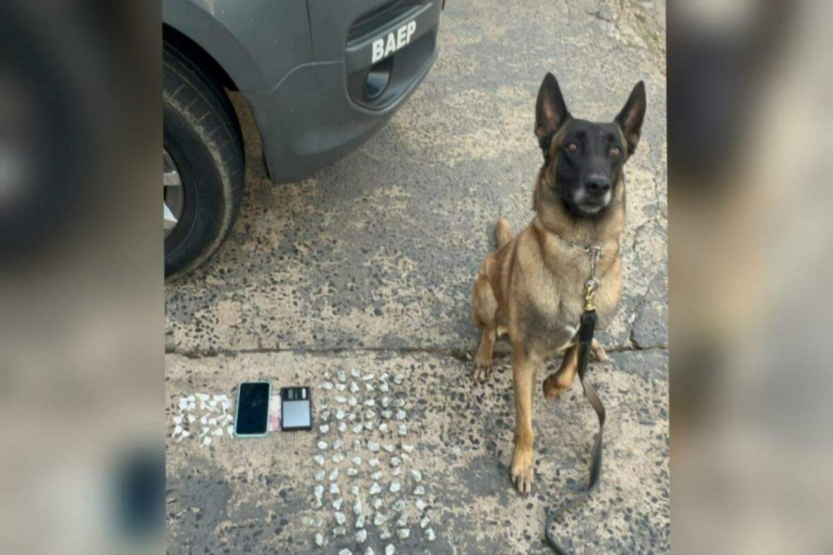 Cão Dexter e drogas apreendidas na Vila São Sebastião, na tarde desta quarta-feira, 31