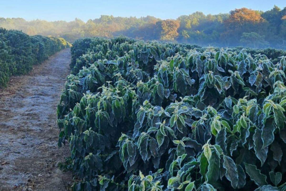 Geada foi registrada principalmente em regiões de baixada, onde o acúmulo de ar frio é mais comum