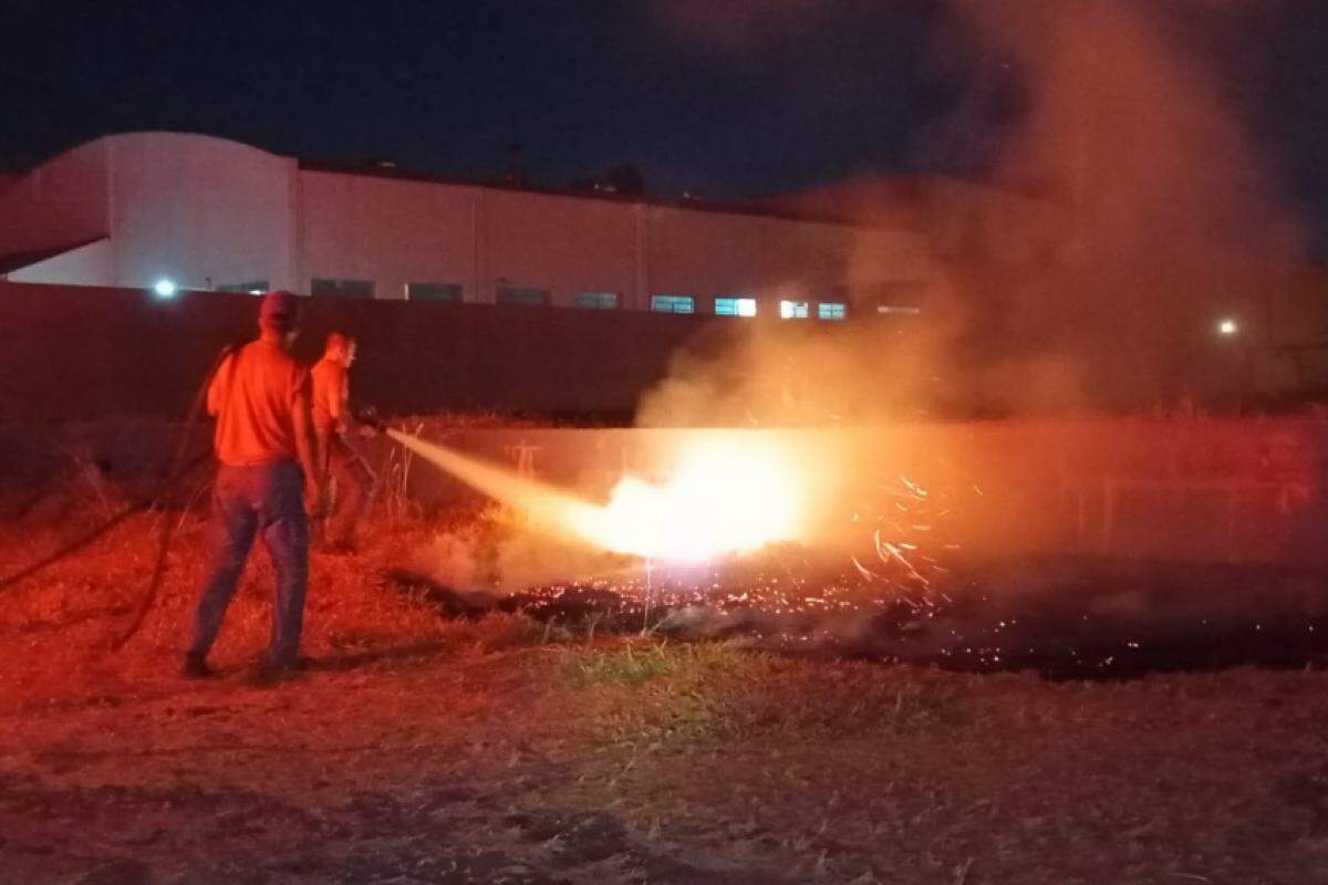 Bombeiros apagaram um dos focos que estava próximo a madeiras no terreno