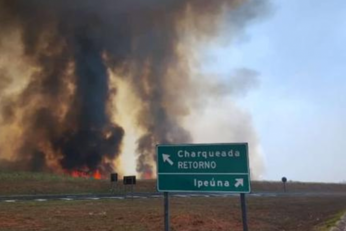 Incêndio atingiu canavial e interditou trecho de rodovia