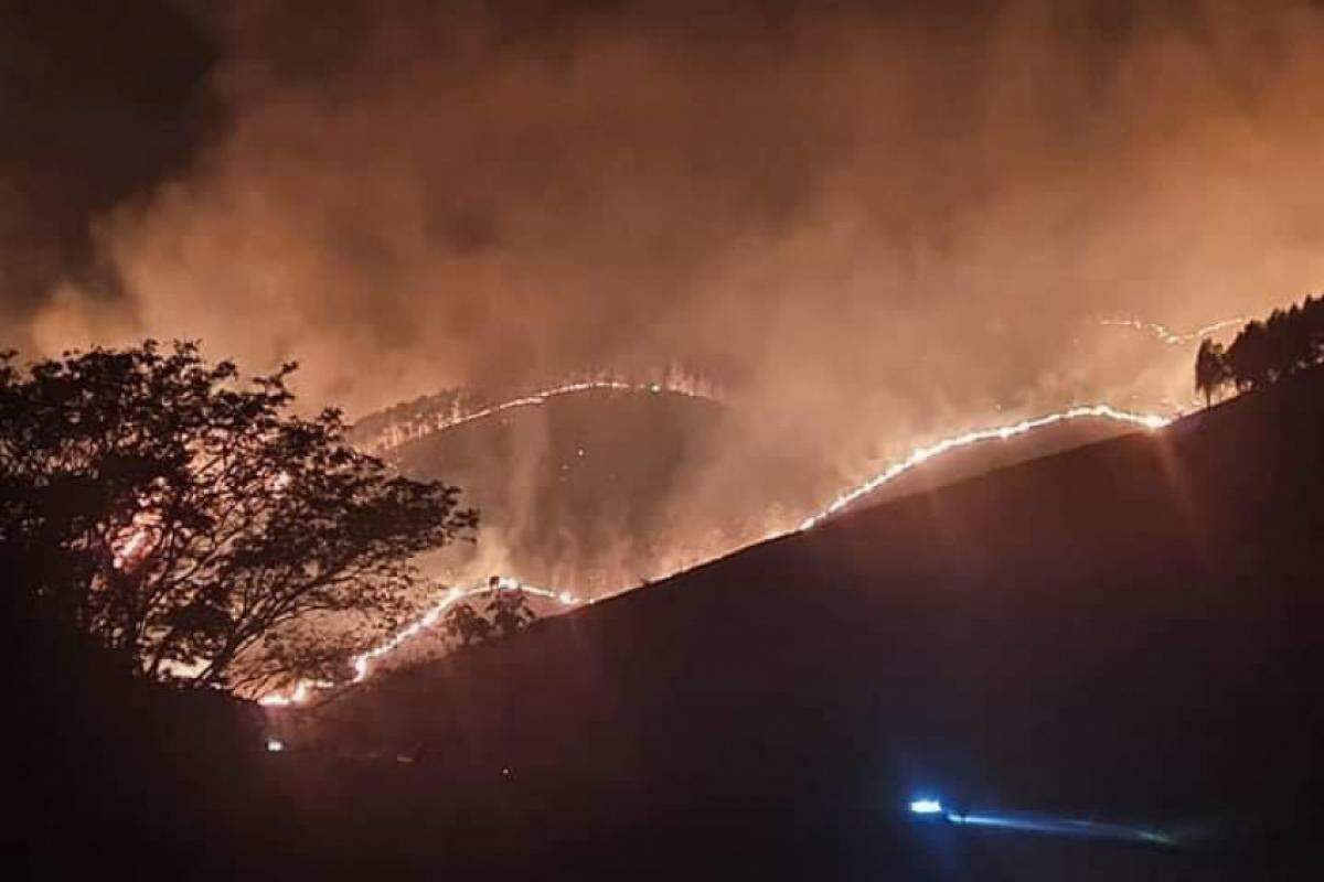 Trecho entre Guará e Cunha com mata tomada pelo fogo