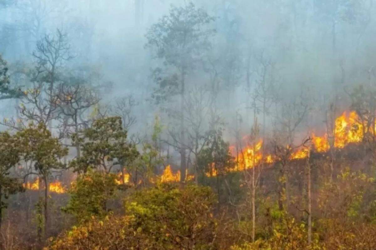 Defesa Civil alerta para risco de queimadas no Vale e região