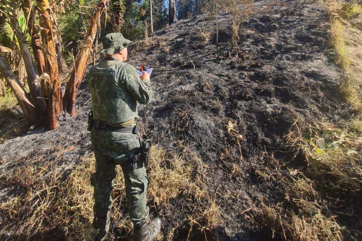 Policial militar ambiental avalia área queimada