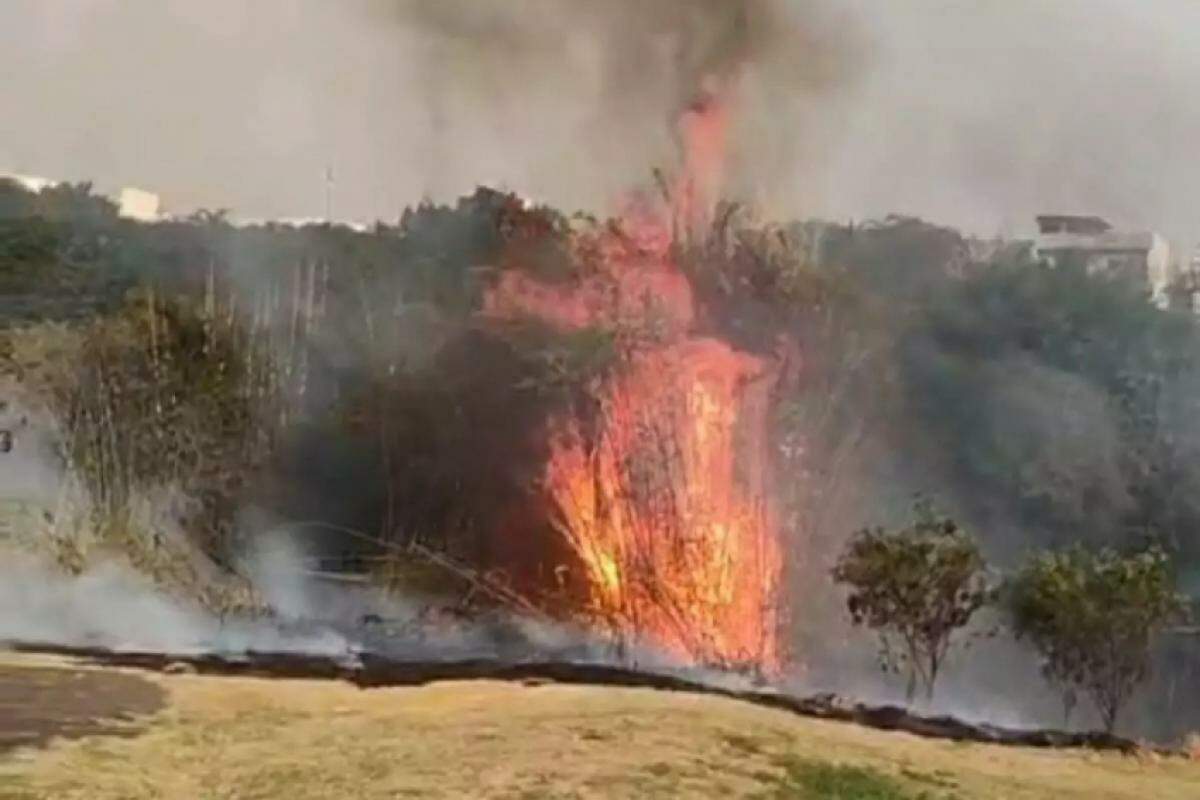 Franca figura entre os municípios com menos focos, mas registrou incêndios de grandes proporções