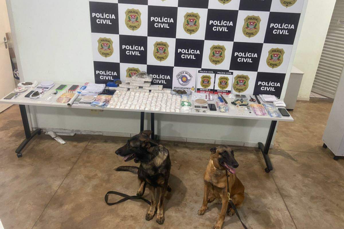 No total, foram apreendidos 6,7 quilos de maconha, 406 gramas de cocaína e 164 gramas de crack