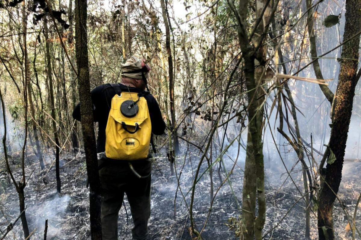 O número de focos de calor cresceu 386% entre janeiro e agosto deste ano na comparação com 2023