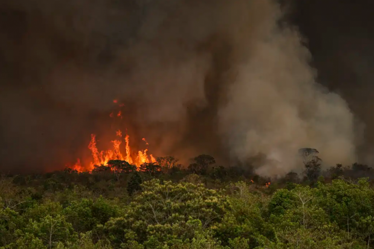 Segundo ministro, incêndios são provovados pela ação humana