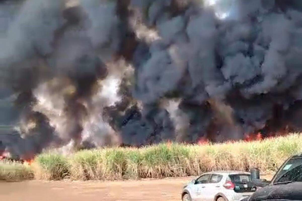 Municípios da região de Franca vêm sofrendo com grandes incêndios: 11 pessoas detidas até esta sexta-feira somando ocorrências em Franca e municípios próximos