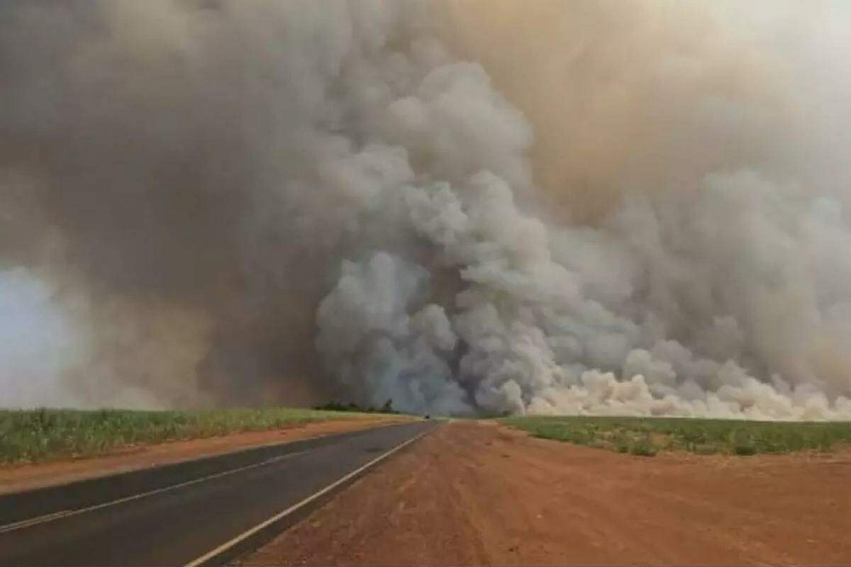 Incêndio é registrado às margens de rodovia que liga Buritizal a Pedregulho