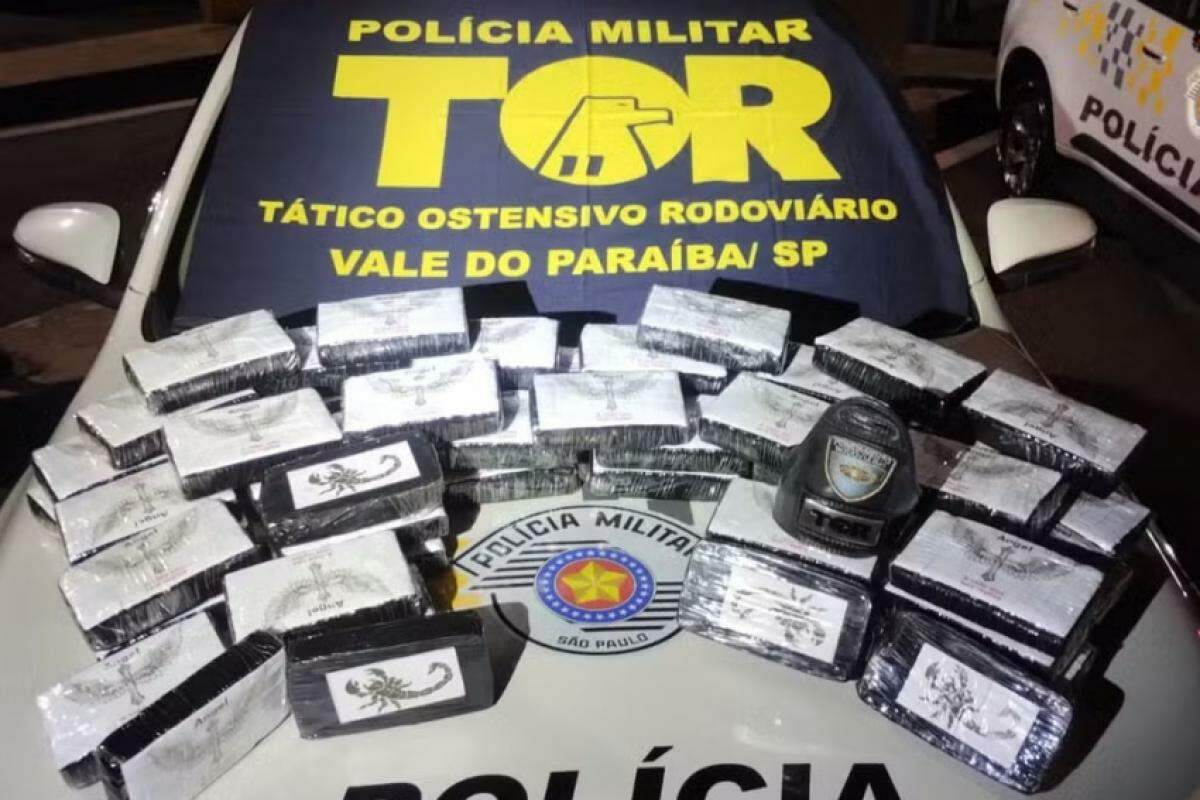 Drogas apreendidas pela polícia