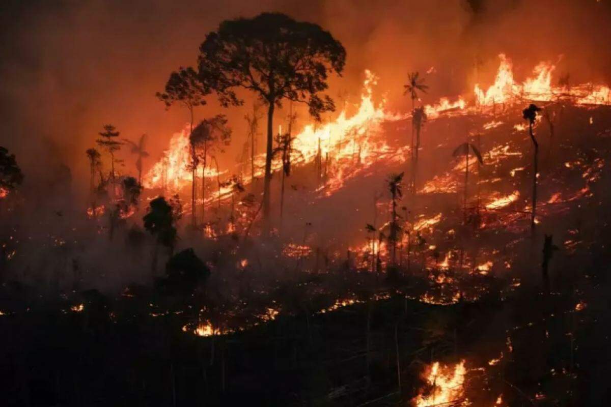 Queimada na região