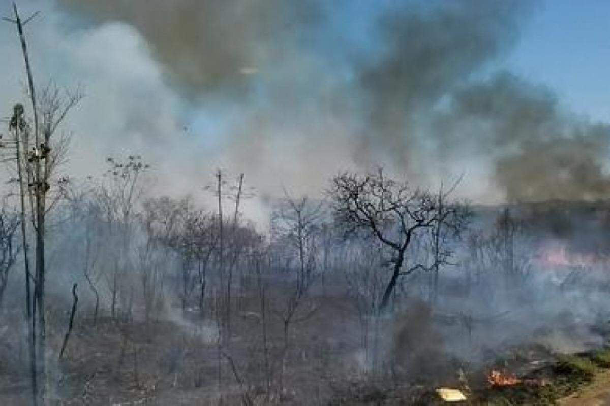 Fogo em área de mata do Inpe