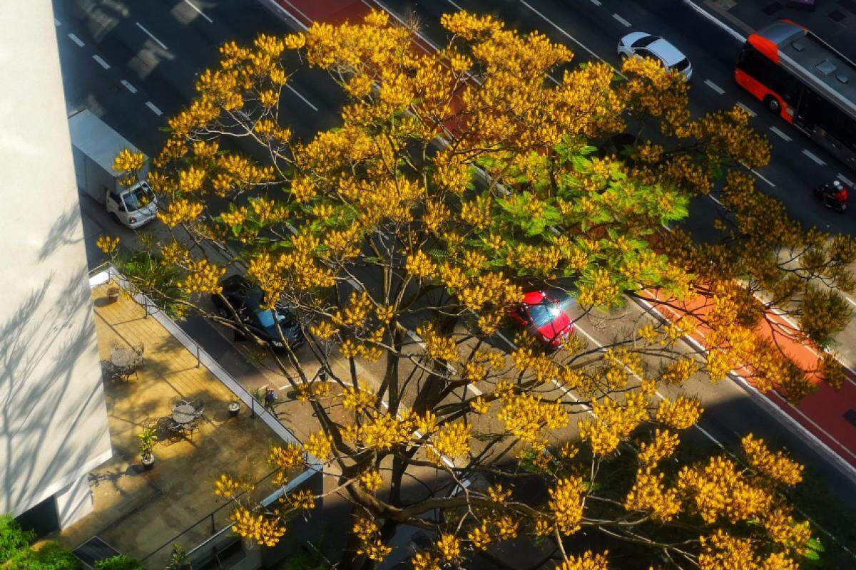 'As temperaturas tendem a permanecer acima da média, principalmente no oeste dos estados de Minas Gerais e São Paulo' diz documento do Inmet.