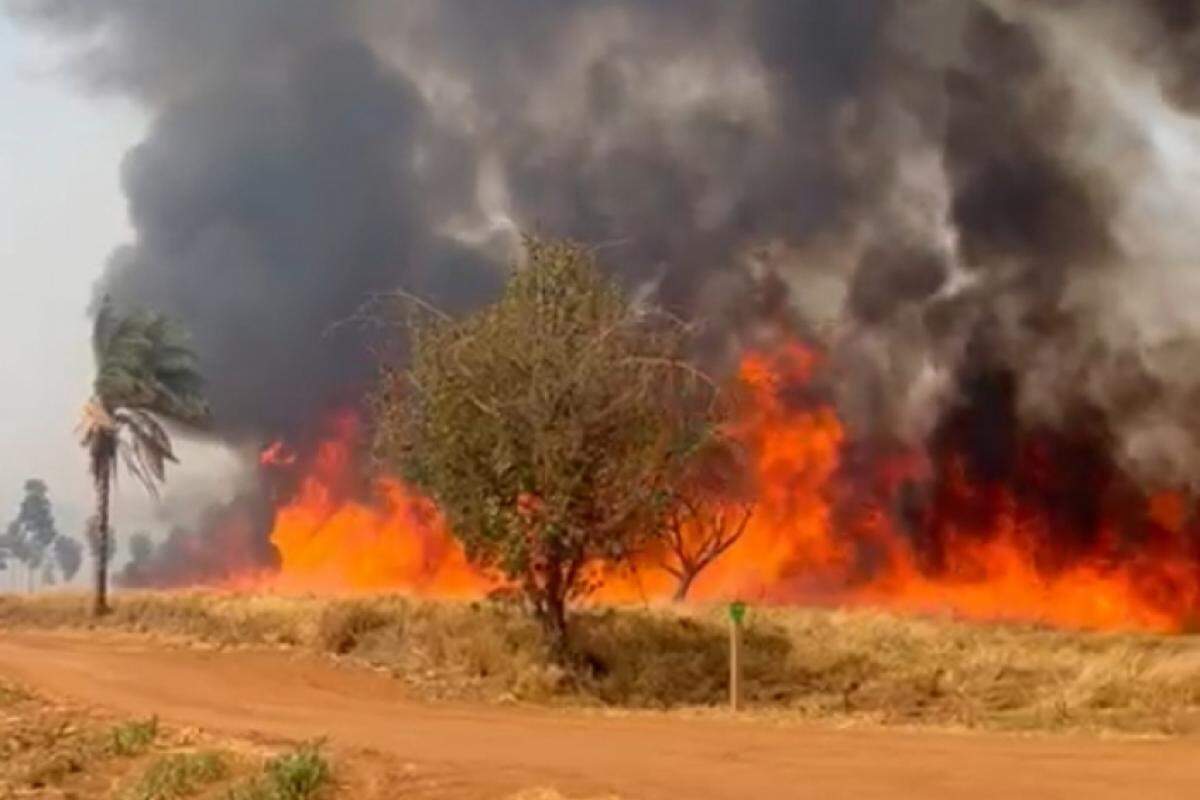 Incêndios afetam gravemente a região de Pedregulho: bombeiros trabalham incansavelmente para atender aos chamados