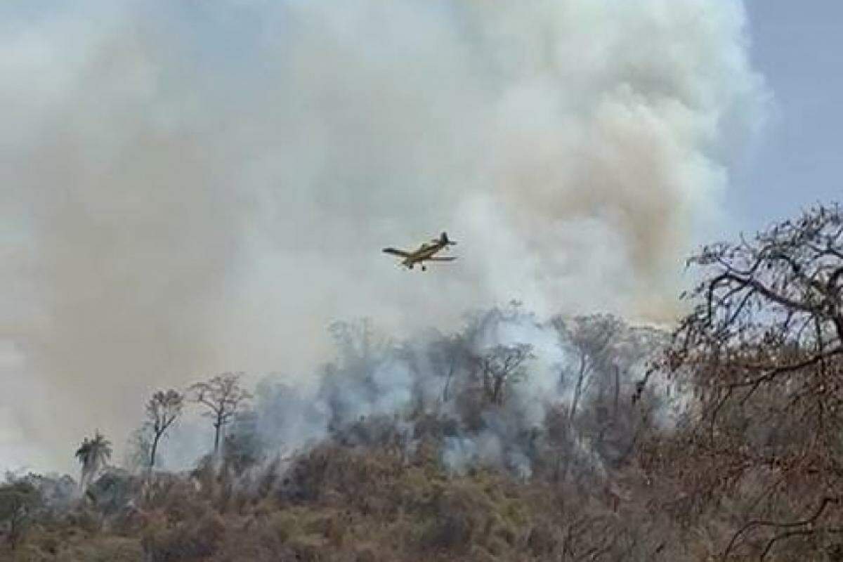 Equipes do Corpo de Bombeiros de Franca, além de usinas da região, estão dando apoio aos produtores