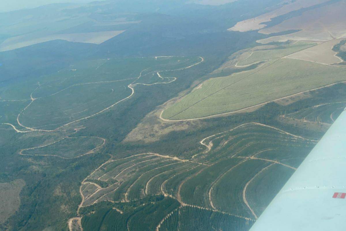 Área no entorno do local onde ocorreu o assalto, na rodovia Cândido Portinari, concentra diversas vias terrestres e abre diversas possibilidades de fuga