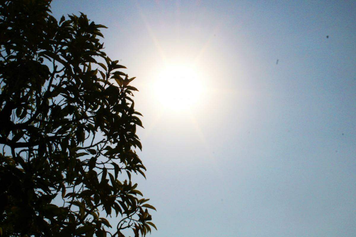 Bauru atingiu 36.8°C nesta quinta-feira (12), segundo o IPMet