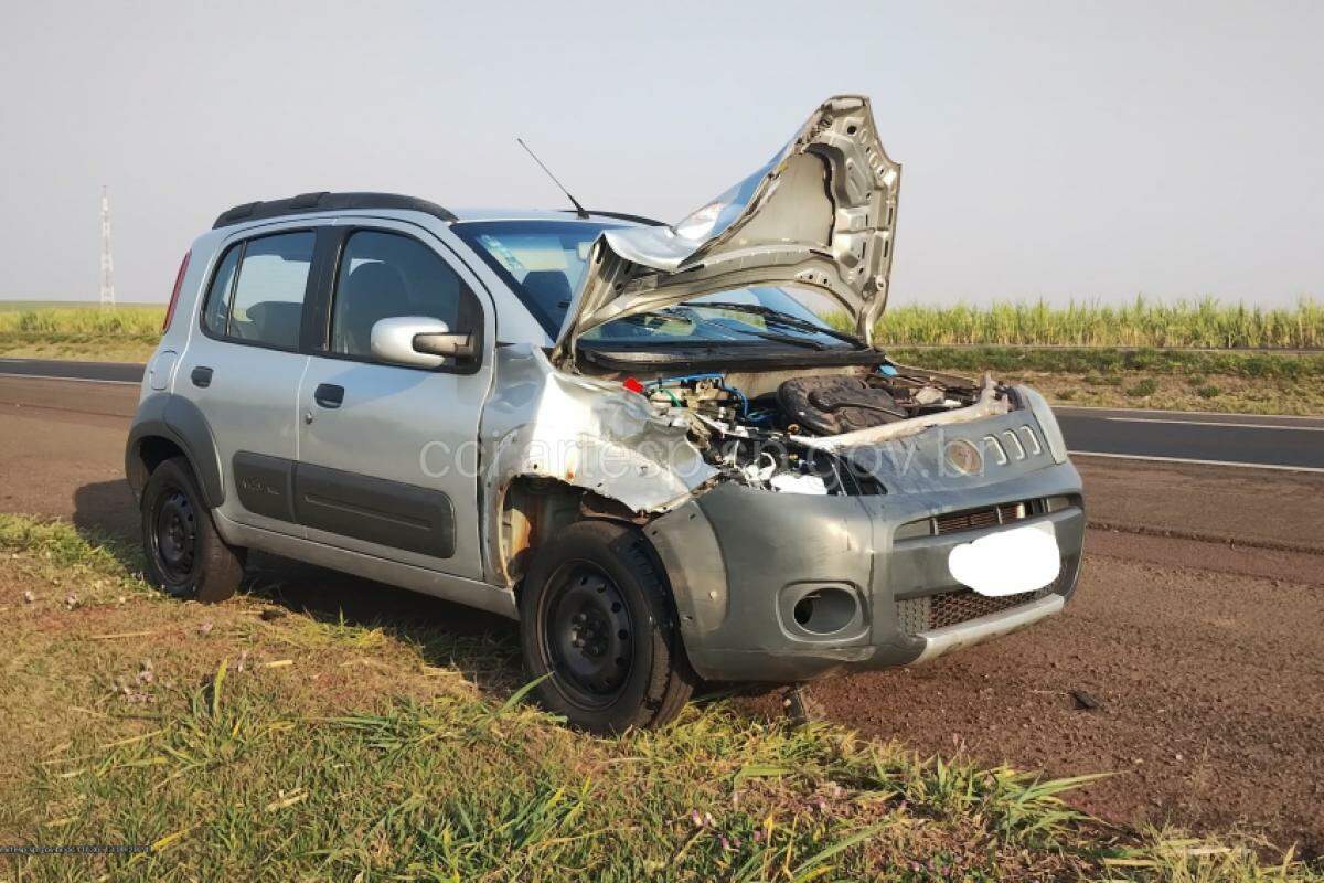 Condutora do carro informou que não teve tempo de desviar ou frear