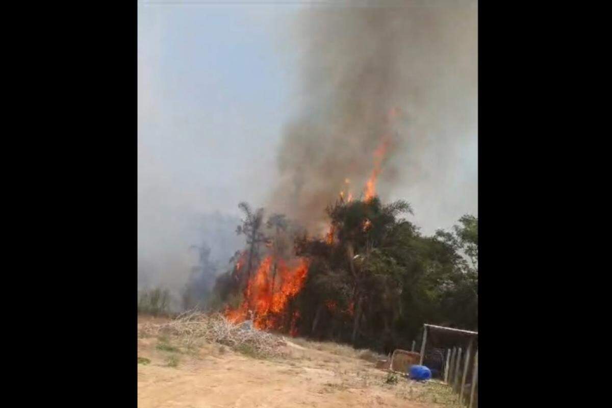 Fogo em área de vegetação em São José