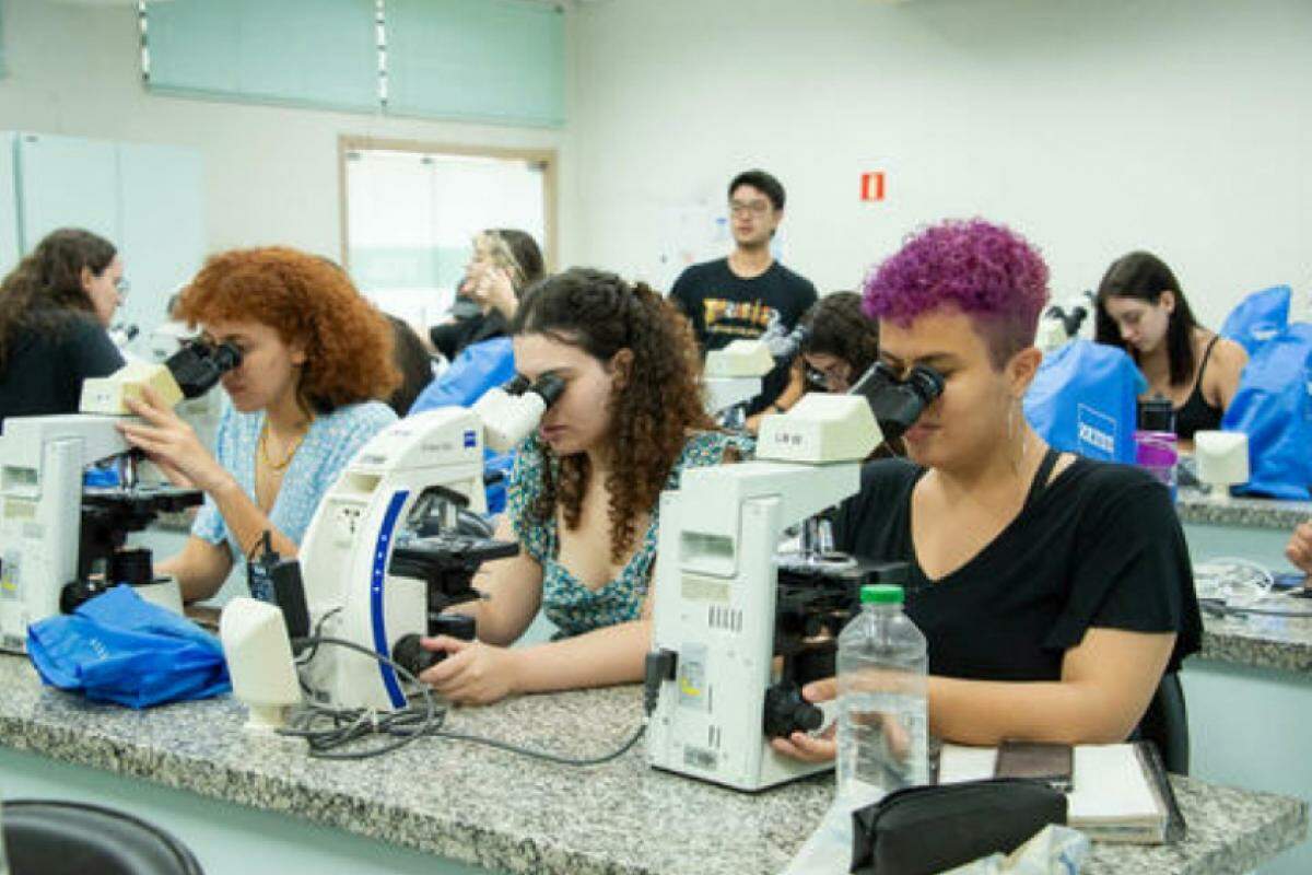 Estudantes utilizam laboratórios da FC para pesquisas