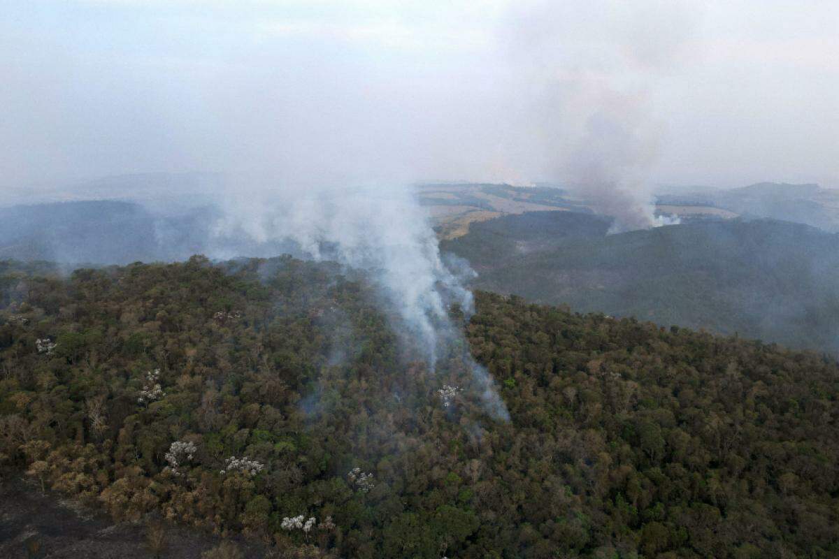 A preocupação das equipes é que o fogo possa se aproximar de áreas residenciais