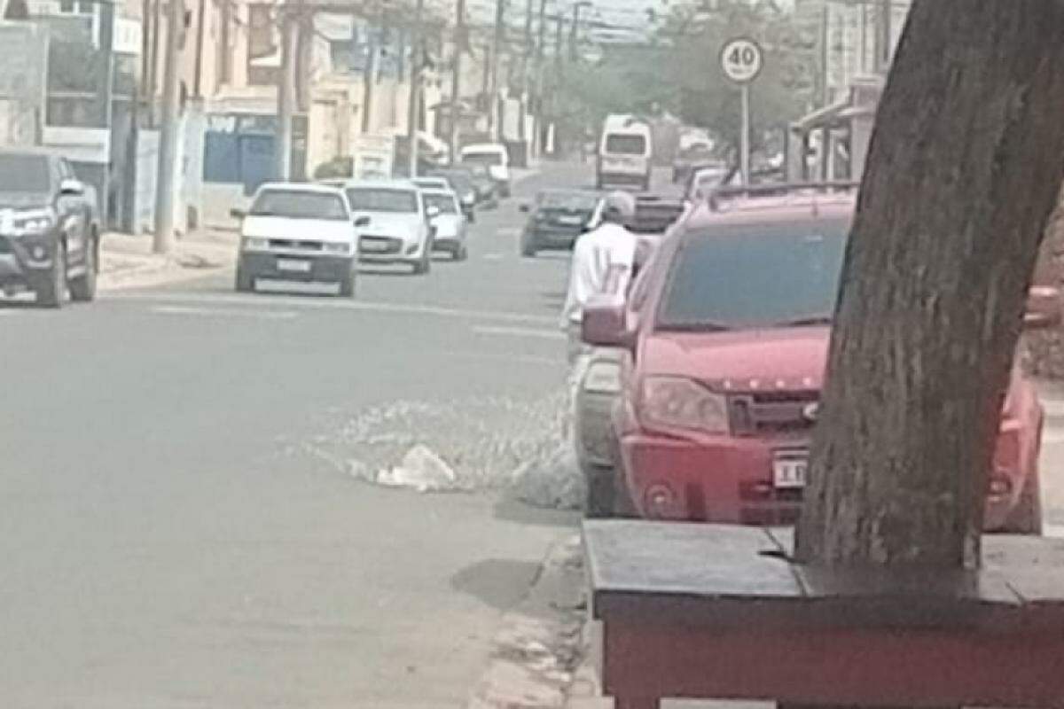 O criminoso foi fotografado levando o alambrado furtado