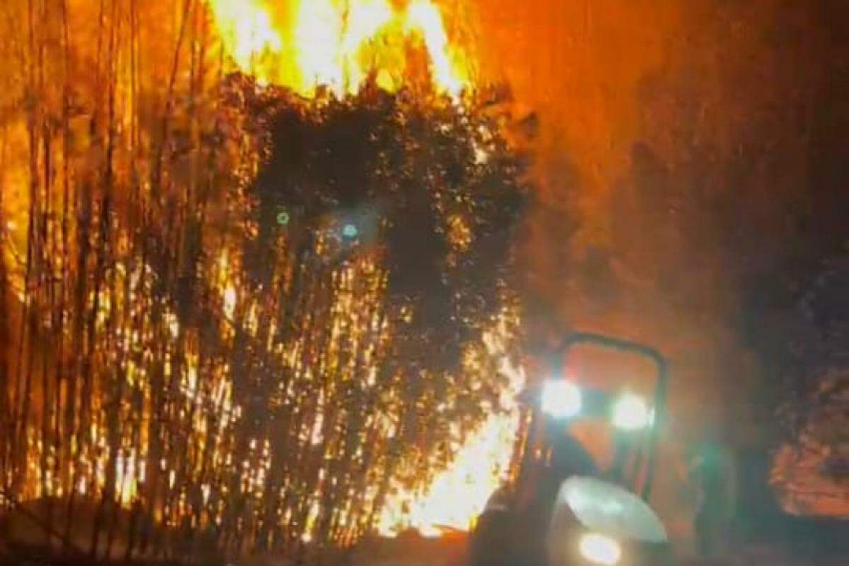 Incêndio na Fazenda Terra Preta, no Curral de Pedras em Pedregulho nesta quinta-feira, 5