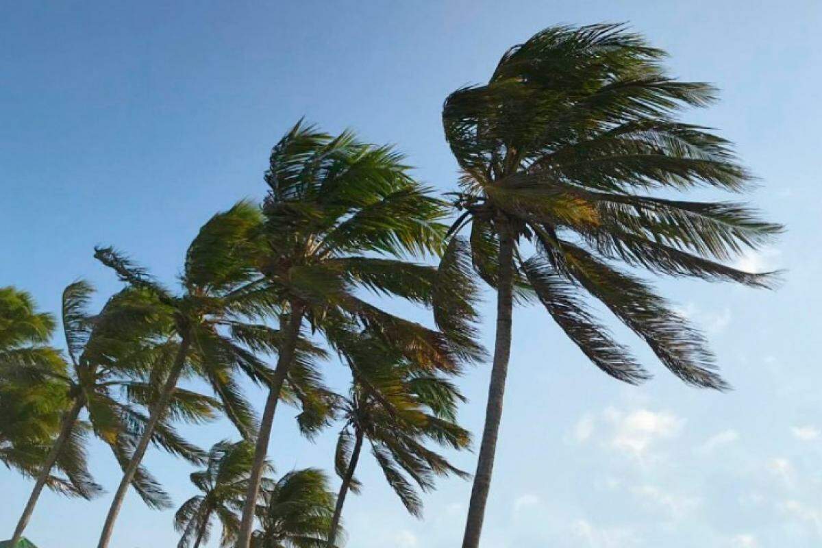 Fortes ventos com mudança de tempo a partir deste domingo (15), no Vale e Litoral