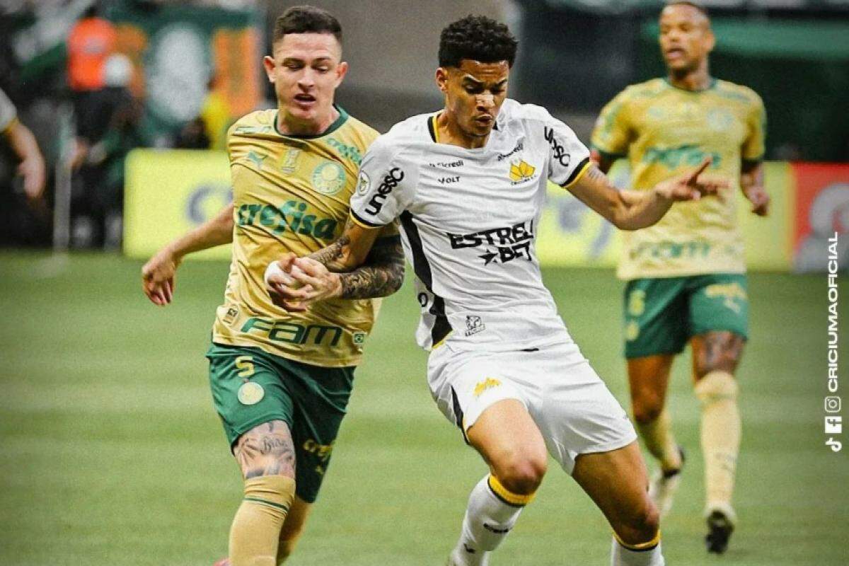 A vitória coloca o Palmeiras provisoriamente na segunda posição do Brasileirão, com 50 pontos, três atrás do líder Botafogo.