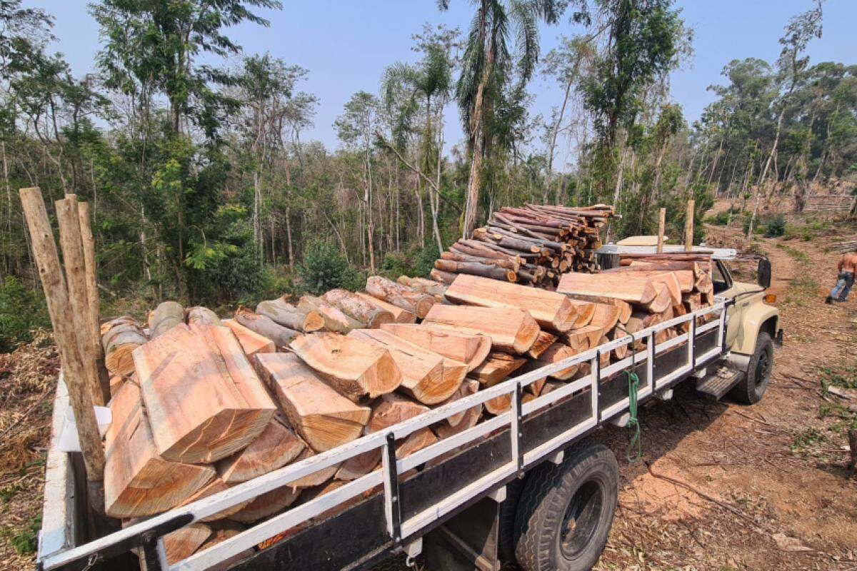 Práticas como essa representam um grave risco ao meio ambiente