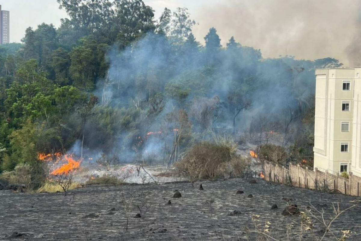 Incêndio de grandes proporções começou devido a bituca de cigarro