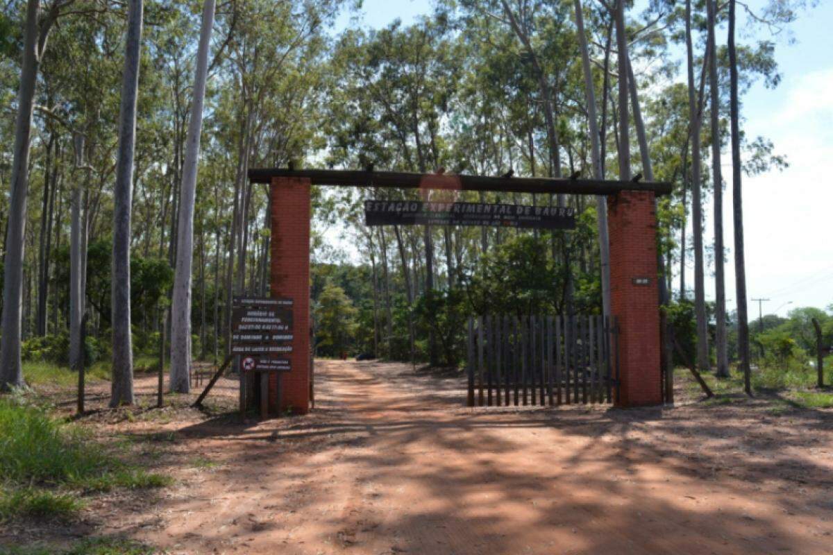 Horto Florestal de Bauru estará fechado para visitação neste domingo (13), até as 10h