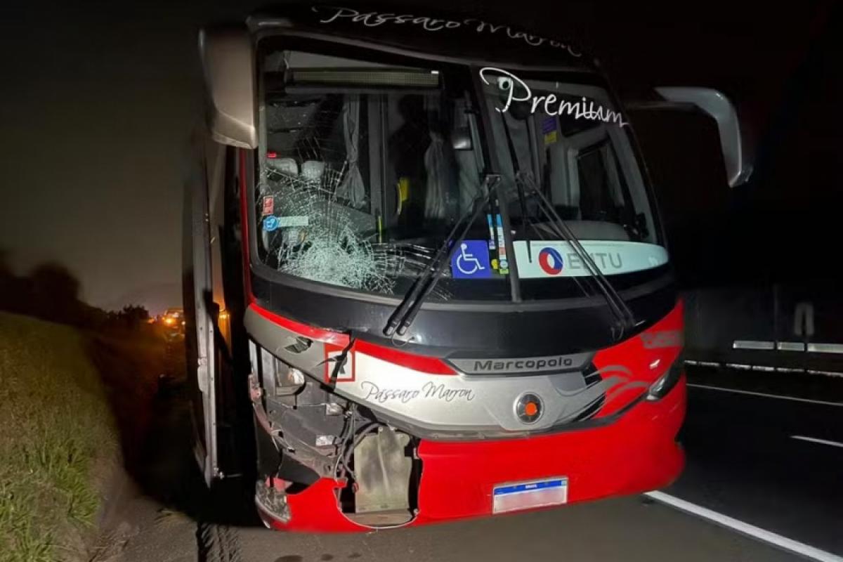 Ônibus envolvido em acidente com romeiro