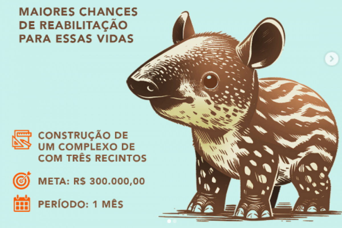 A ideia é promover um tratamento mais rápido a estes animais