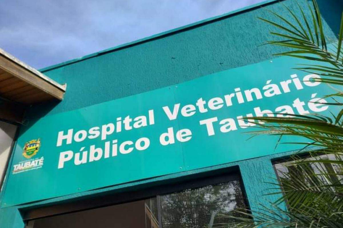 Clínica substituiria o hospital veterinário em operação desde 2022