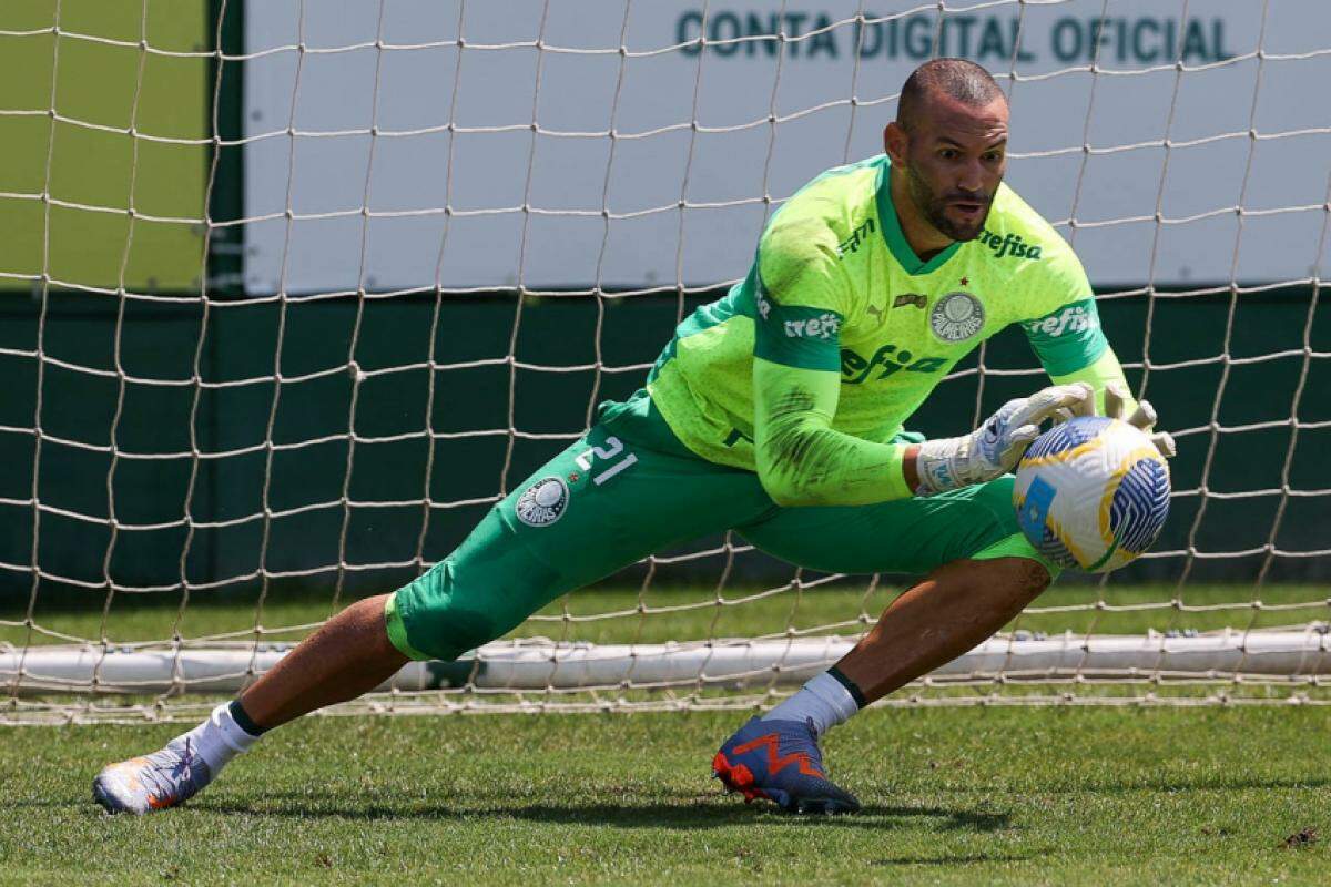 O Palmeiras será o único clube paulista na competição