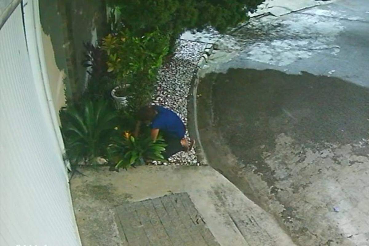 Câmera de segurança flagrou mulher furtando flores no jardim da casa