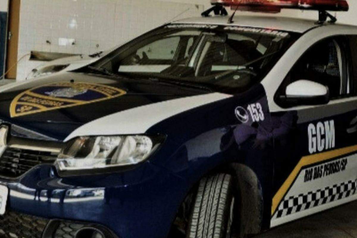 Equipes da Guarda Civil de Rio das Pedras efetuaram a abordagem do caminhão com os troncos cortados.