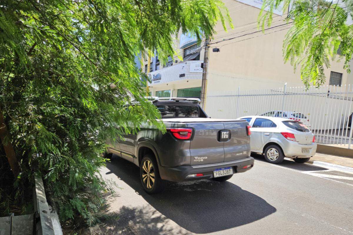 Carro desviando de árvore, enquanto passa pela avenida Ismael Alonso y Alonso