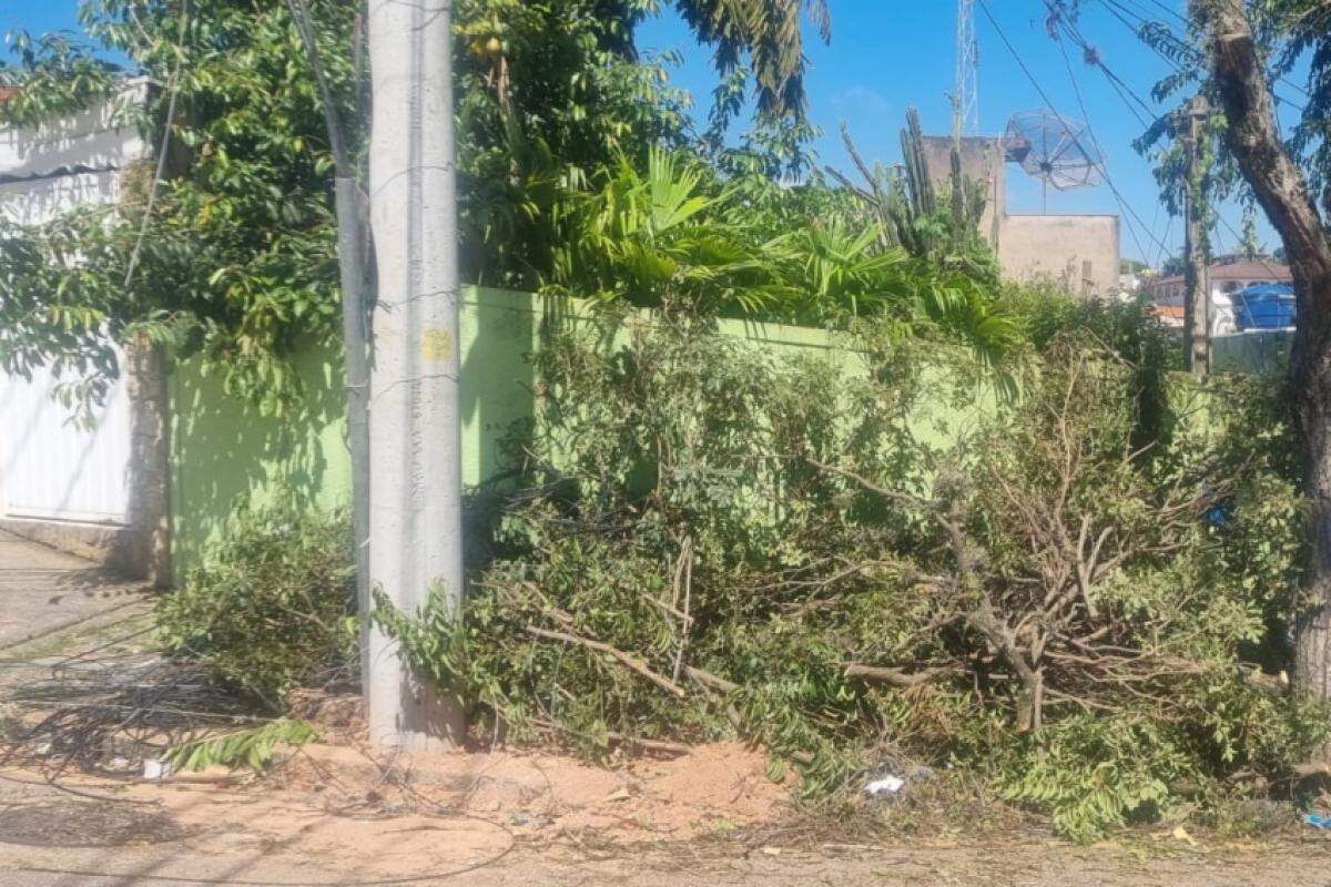 Priscila fotografou um dos locais onde houve troca e há fios e galhos no chão, além de bastante terra em volta do poste