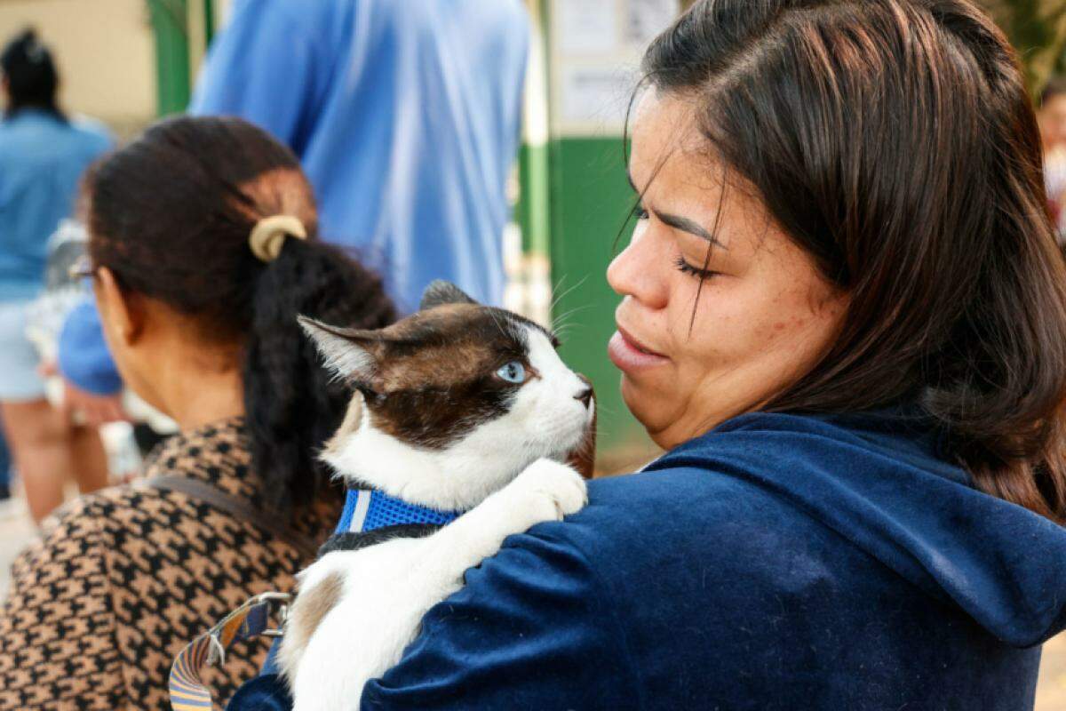 Mutirão de castração gratuita de pets, no Santa Gertrudes, abre agendamento na segunda (25)