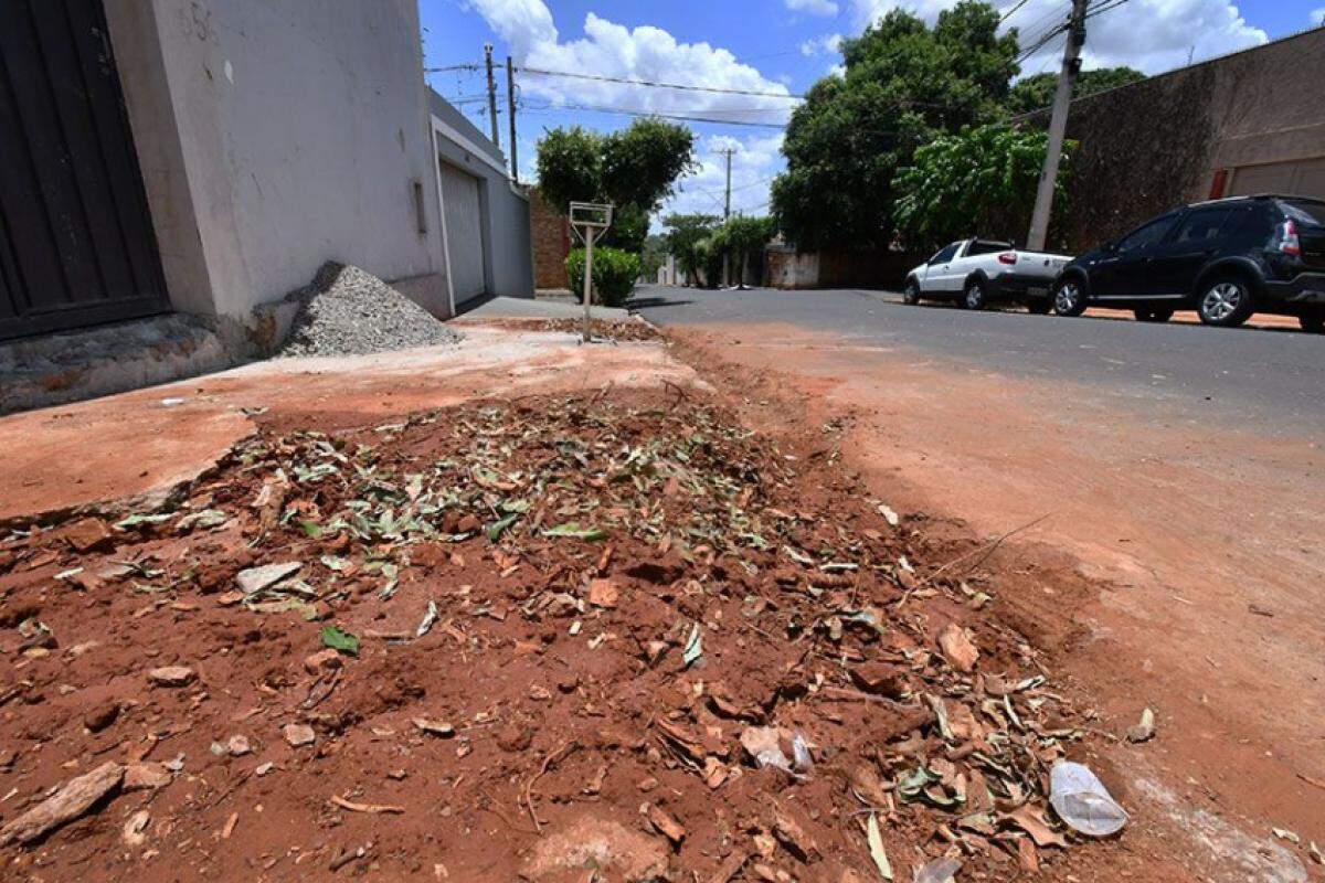 A vereadora Cristina Munhoz afirma que na última quinzena mais de quatro árvores da espécie Oiti foram erradicadas na rua Catanduva