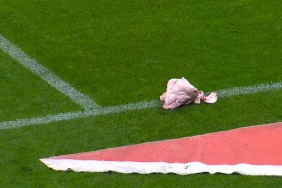 A torcida do Corinthians arremessou uma cabeça de porco no gramado da Neo Química Arena